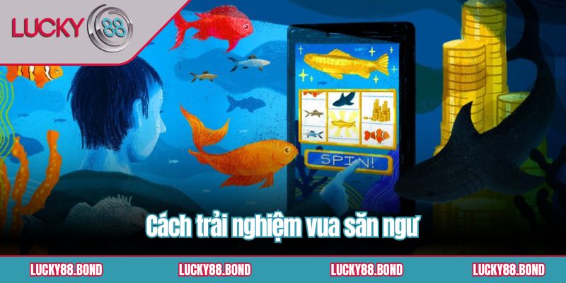 Cách trải nghiệm vua săn ngư